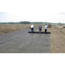 PP Biaxial Geogrids für Buidling High Way